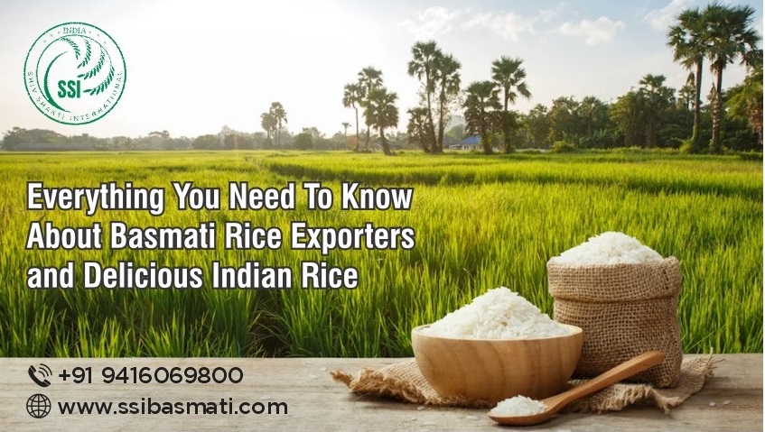 Everything You Need To Know About Basmati Rice 